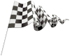 Checkered Flag H80